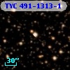 TYC  491-1313-1