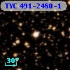 TYC  491-2480-1