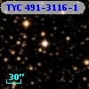 TYC  491-3116-1