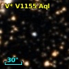 V* V1155 Aql