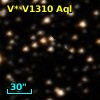 V* V1310 Aql