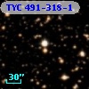 TYC  491-318-1