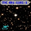 TYC  491-1185-1