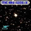 TYC  491-1331-1