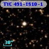 TYC  491-1810-1