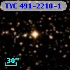 TYC  491-2210-1