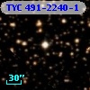 TYC  491-2240-1