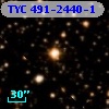 TYC  491-2440-1