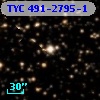 TYC  491-2795-1