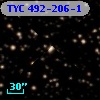 TYC  492-206-1