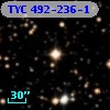 TYC  492-236-1