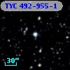 TYC  492-955-1