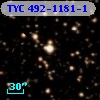 TYC  492-1181-1