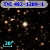TYC  492-1309-1