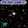 TYC  492-1446-1