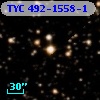 TYC  492-1558-1