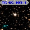 TYC  492-1668-1