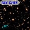 NSV 12437