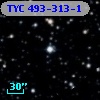 TYC  493-313-1