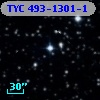 TYC  493-1301-1