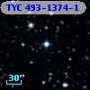 TYC  493-1374-1