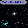 TYC  493-1491-1