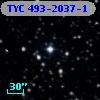 TYC  493-2037-1