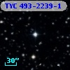 TYC  493-2239-1