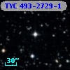 TYC  493-2729-1