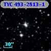 TYC  493-2813-1