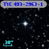 TYC  493-2963-1