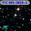 TYC  493-3019-1