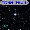 TYC  493-3081-1