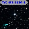 TYC  493-3136-1