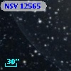 NSV 12565