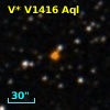 V* V1416 Aql