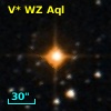 V* WZ Aql