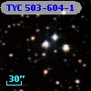TYC  503-604-1