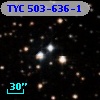 TYC  503-636-1