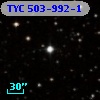 TYC  503-992-1