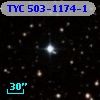 TYC  503-1174-1