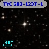 TYC  503-1237-1