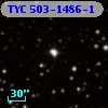 TYC  503-1486-1