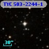 TYC  503-2244-1