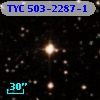 TYC  503-2287-1