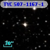 TYC  507-1167-1