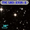 TYC  503-1318-1