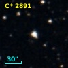 C* 2891