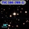 TYC  508-709-1