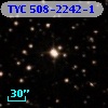 TYC  508-2242-1